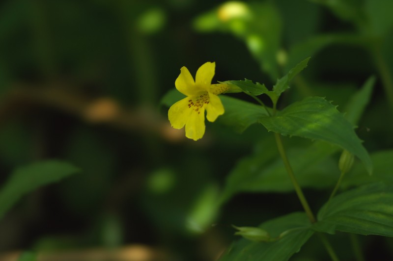 FILE_002.jpg