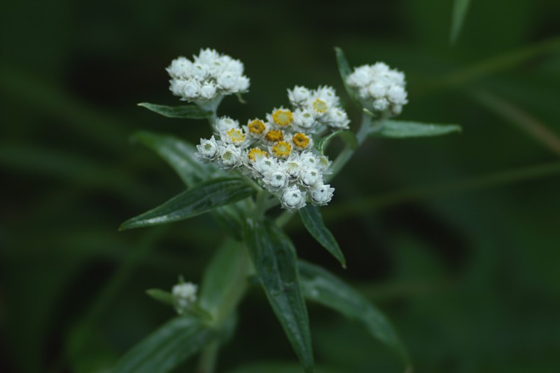 FILE_006.jpg