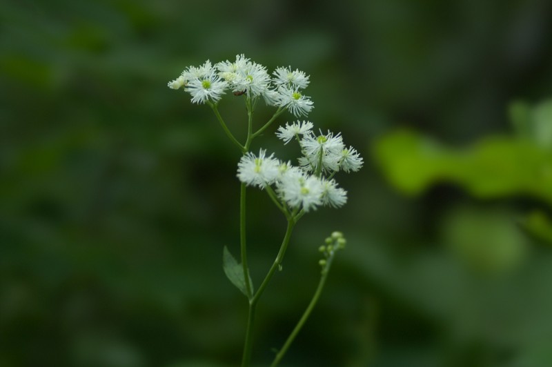 FILE_009.jpg
