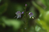 FILE_032s.jpg