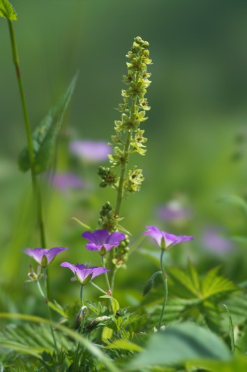 FILE_033.jpg