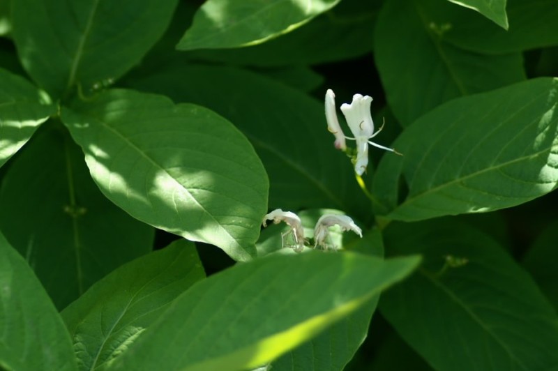 FILE_034.jpg