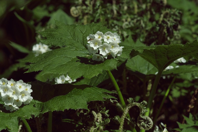 FILE_046.jpg