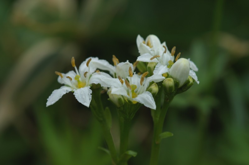 FILE_047.jpg