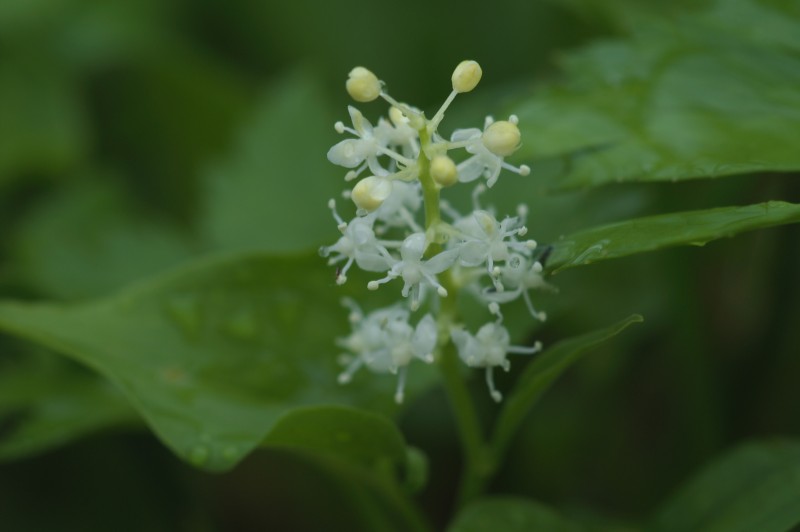 FILE_049.jpg