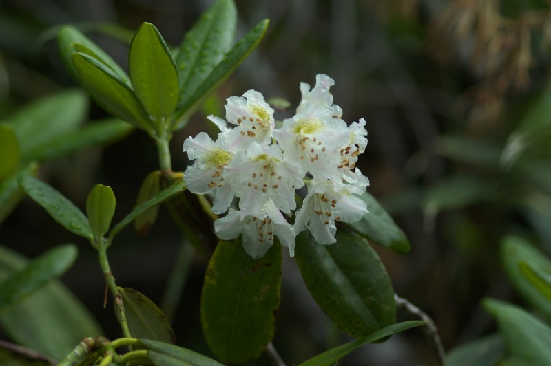 FILE_053.jpg