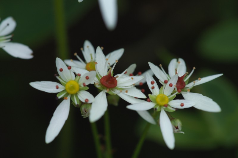 FILE_055.jpg