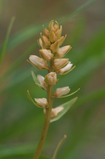 FILE_056.jpg