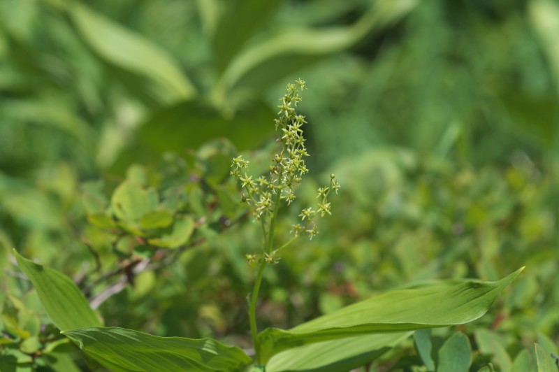 FILE_059.jpg